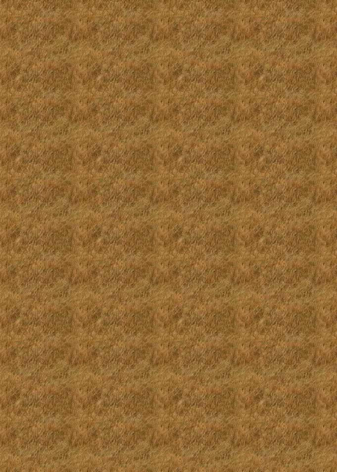 Brown Grass Texture