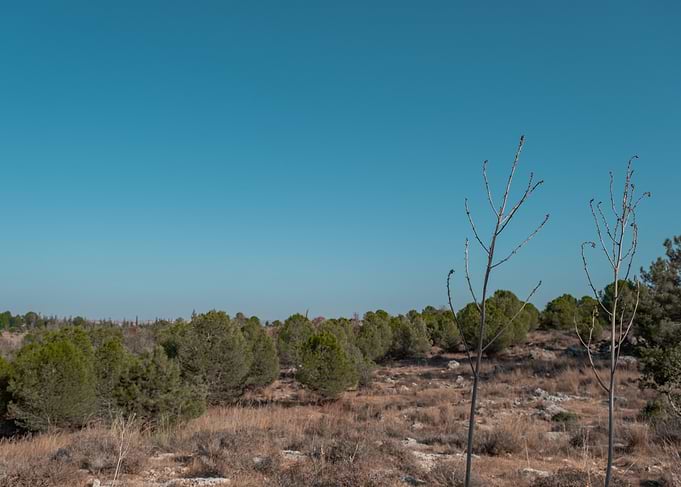 Desert Edge Calm