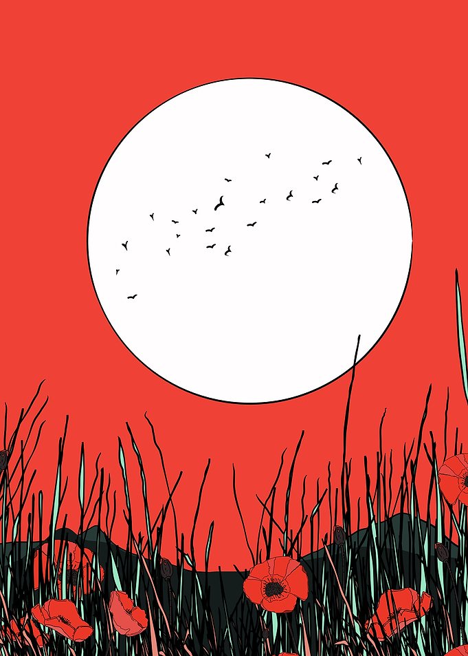Poppy Field Under a Full Moon