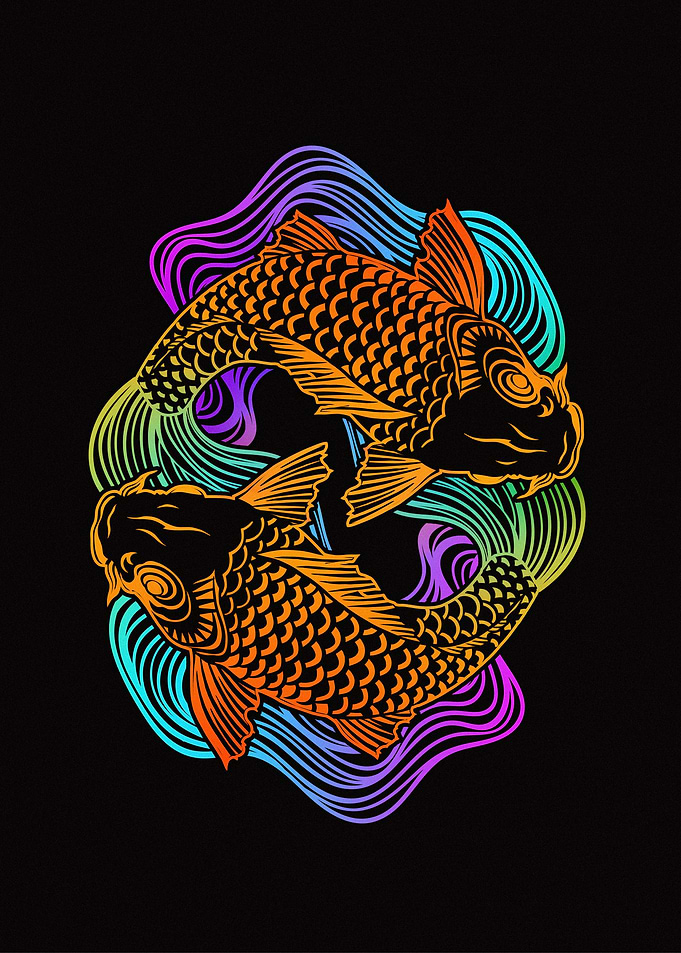 Yin Yang Koi Fish Illustration