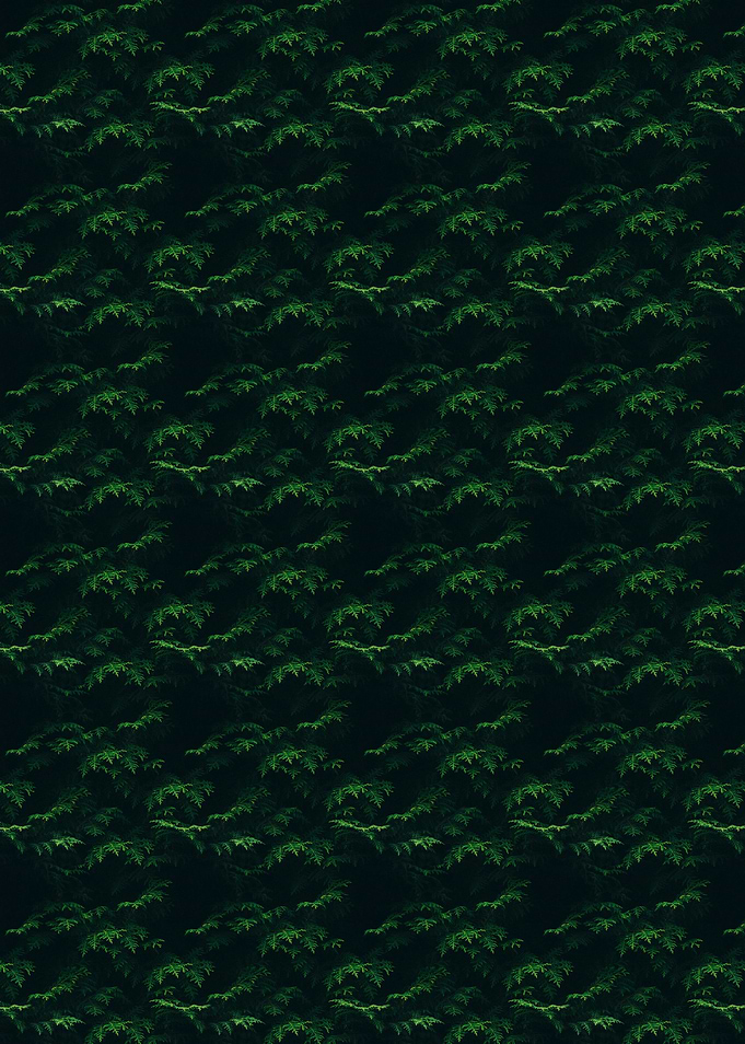 Dark Green Foliage Pattern