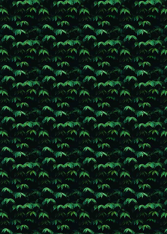 Dense Green Leafy Wall