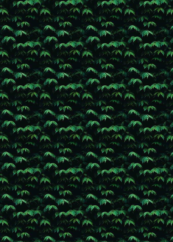 Dense Green Leafy Wall