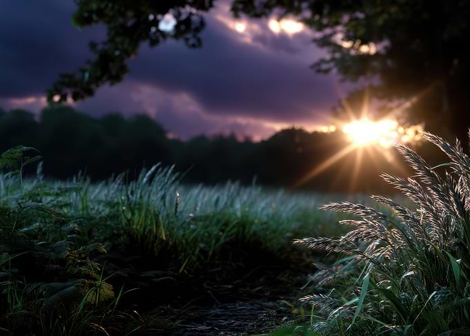 Sunset Over Field of Grass