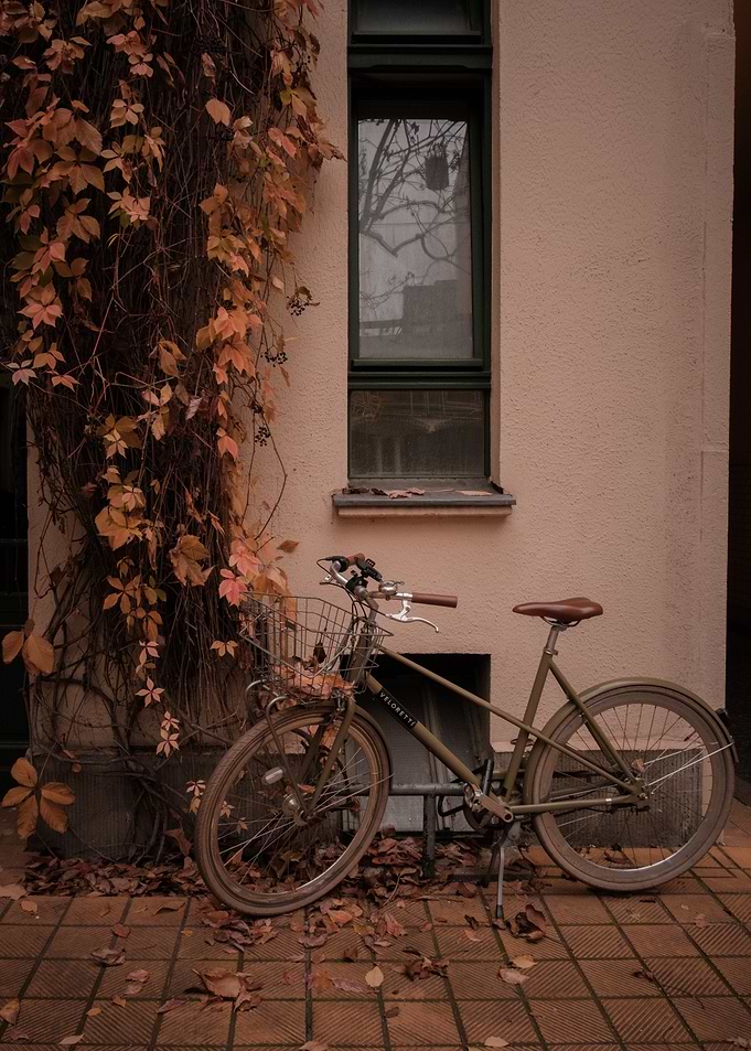 Autumn Bicycle Still Life