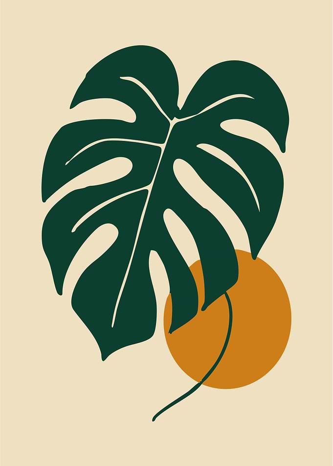 Monstera Leaf Art