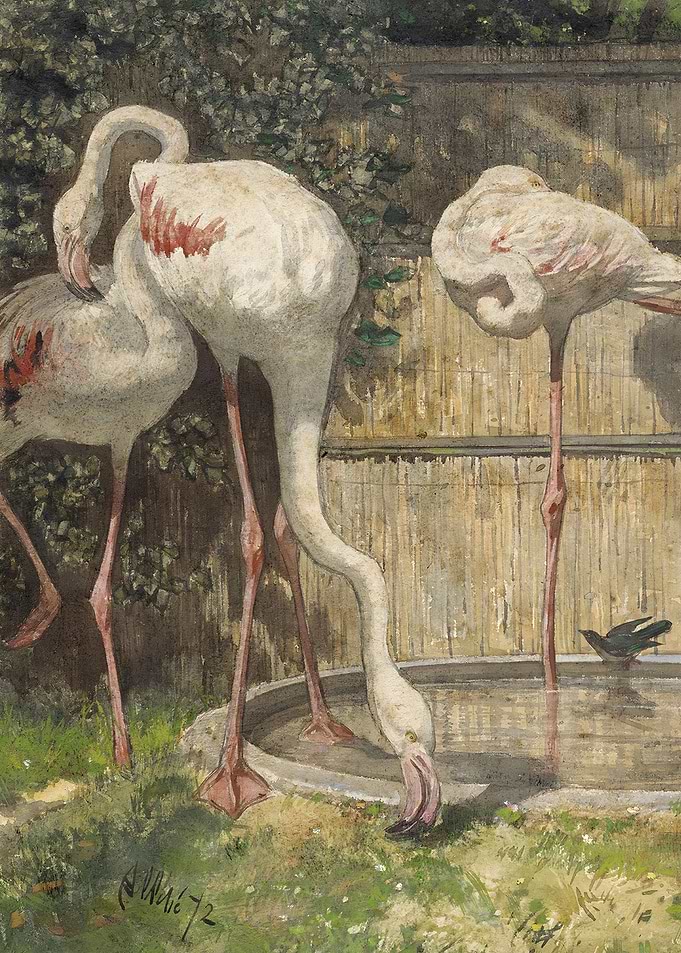 Vintage 1872 Three Flamingos Painting