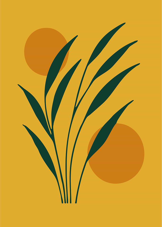 Minimalist Plant Art