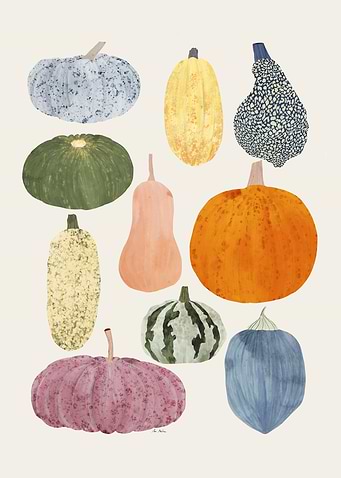 Colorful Pumpkins and Gourds Illustration