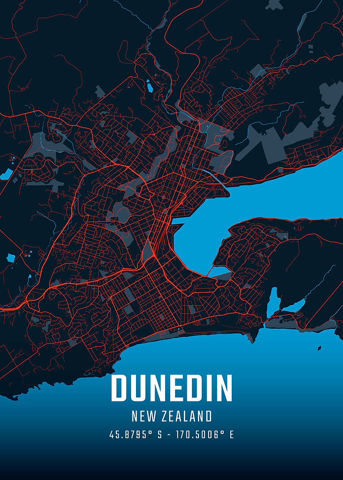 Dunedin City Map