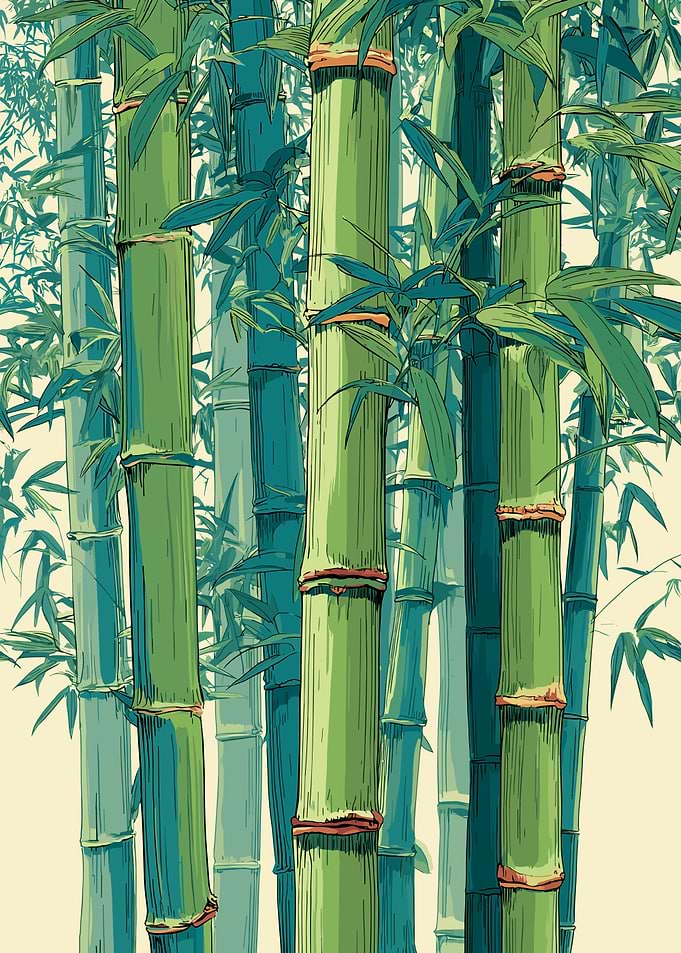 Green Bamboo Forest Illustration