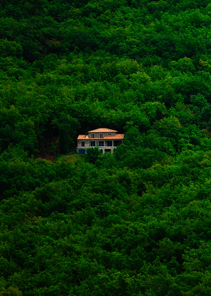 House in the Forest