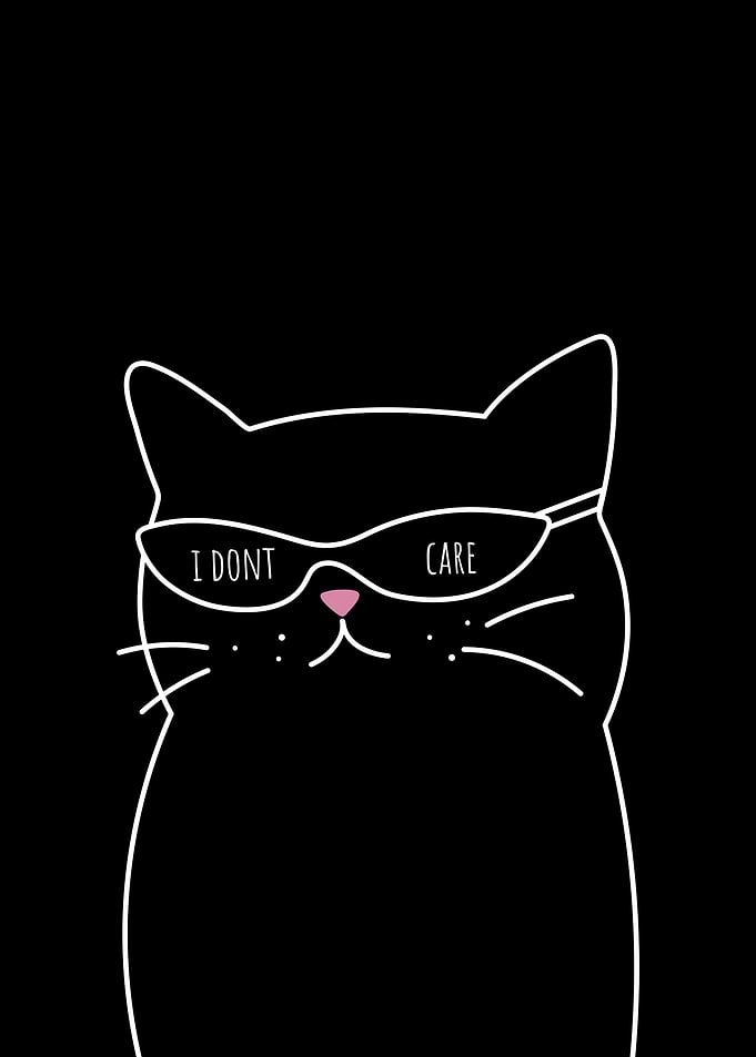 Cool Cat with Sunglasses