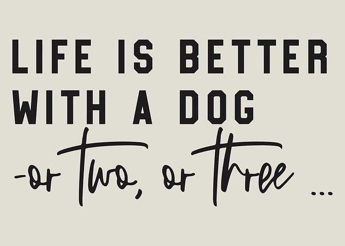 Life is better with a dog