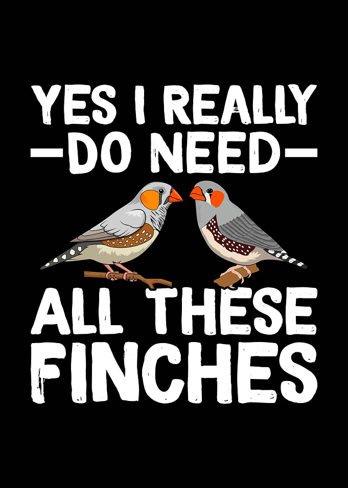 Yes I Need All These Finches