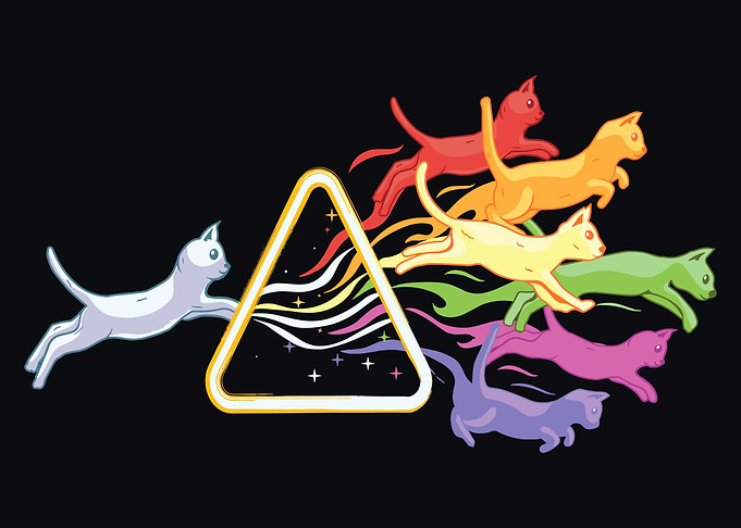 Rainbow Cats Through Prism