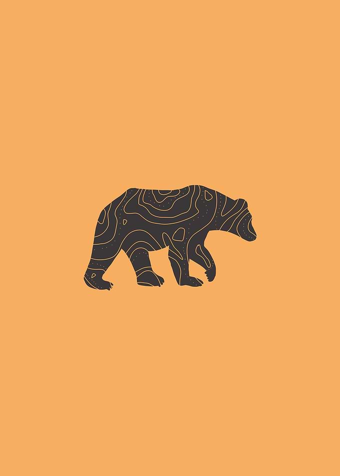 Bear Silhouette Topographic