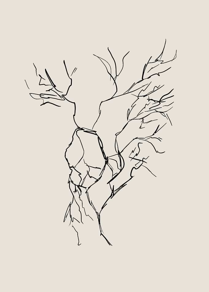 Blood Vessels Line Art