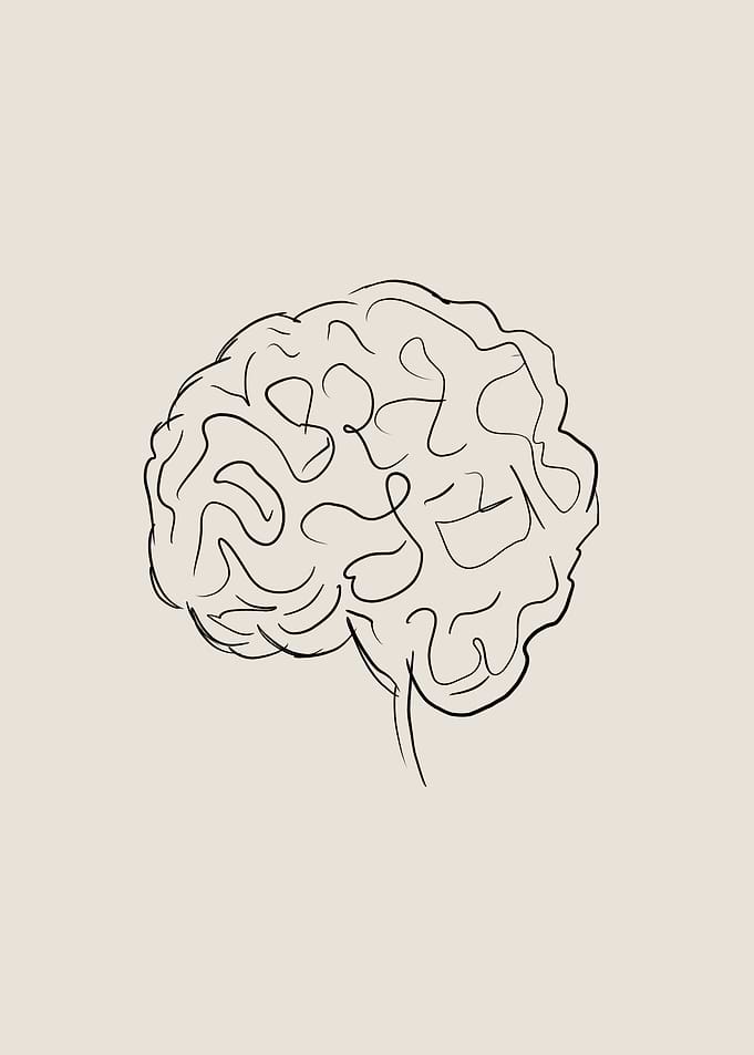 Brain Line Art