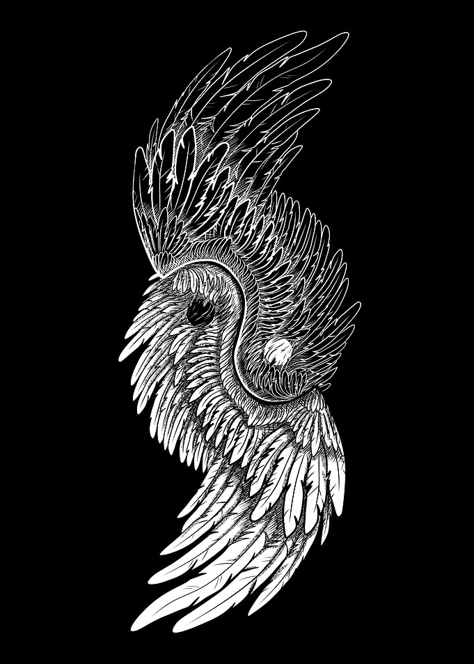 Yin Yang Wings Illustration