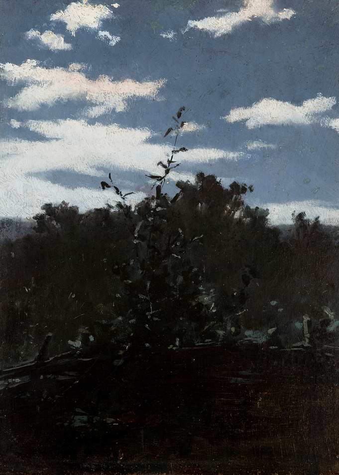 Night Landscape Painting with Clouds
