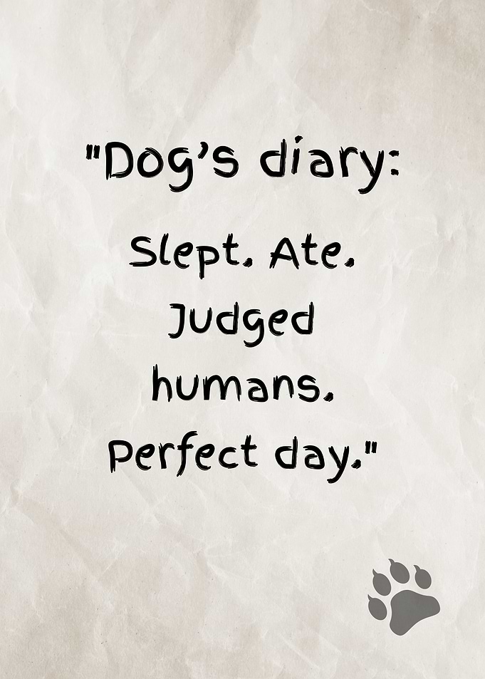 Dog's Diary: Perfect Day