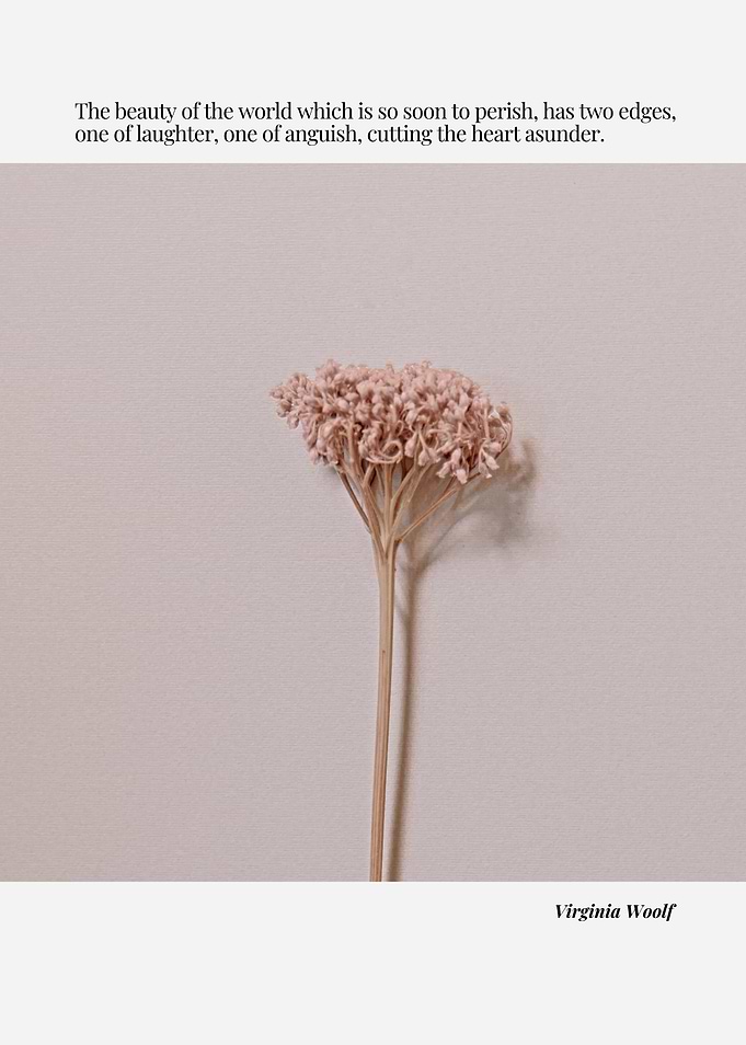 Dried Flower with Virginia Woolf Quote