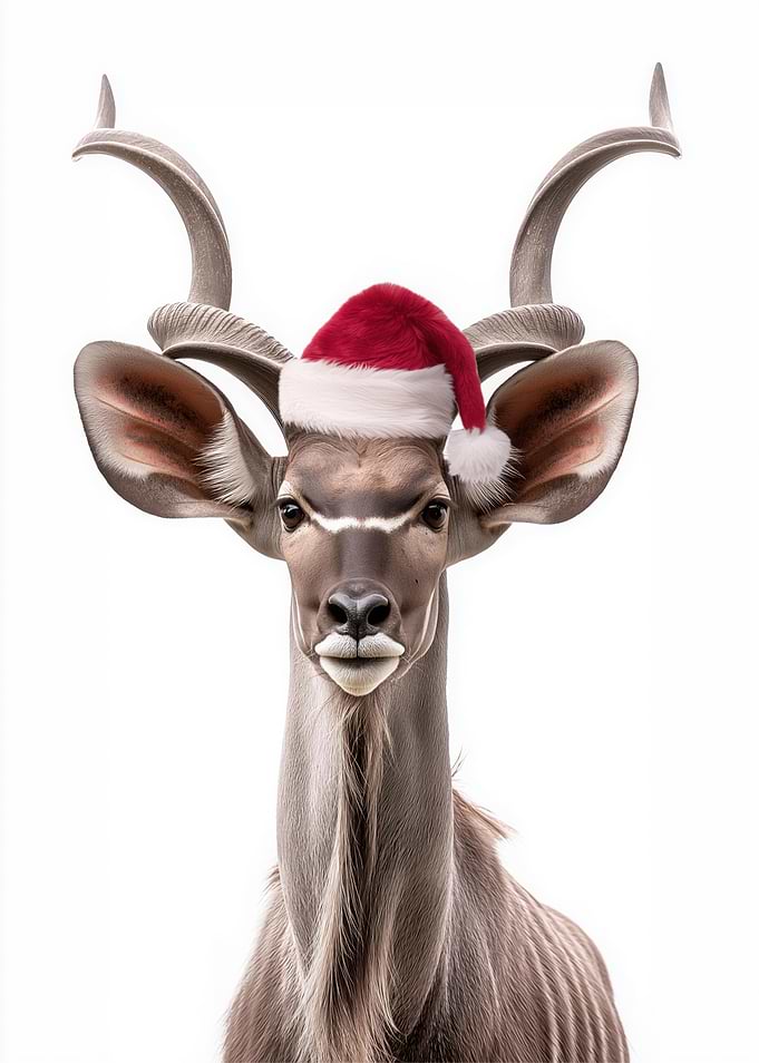 Kudu with Santa Hat
