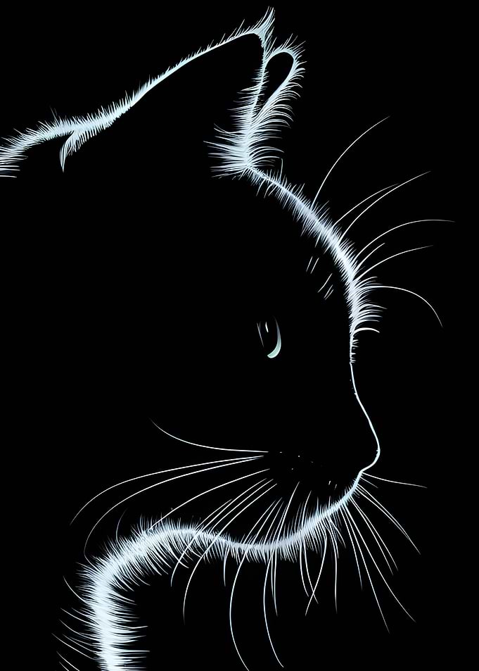 Elegant Cat Silhouette