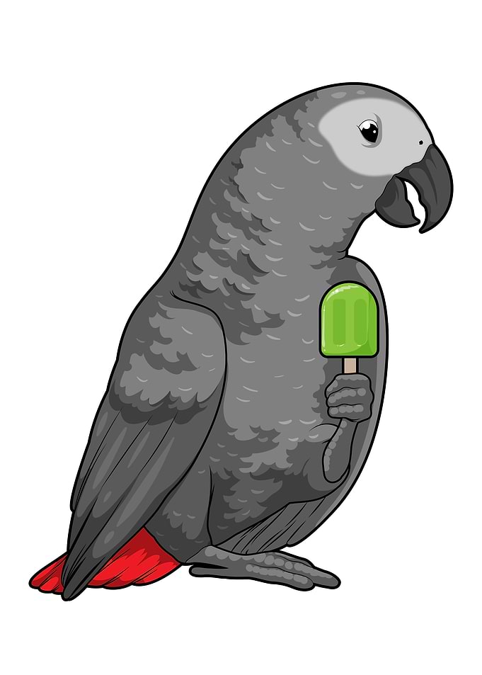 Parrot Popsicle