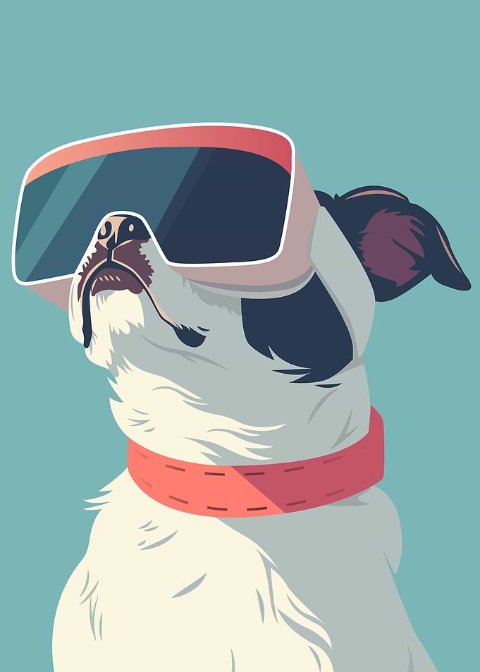 Cool Dog with VR Headset
