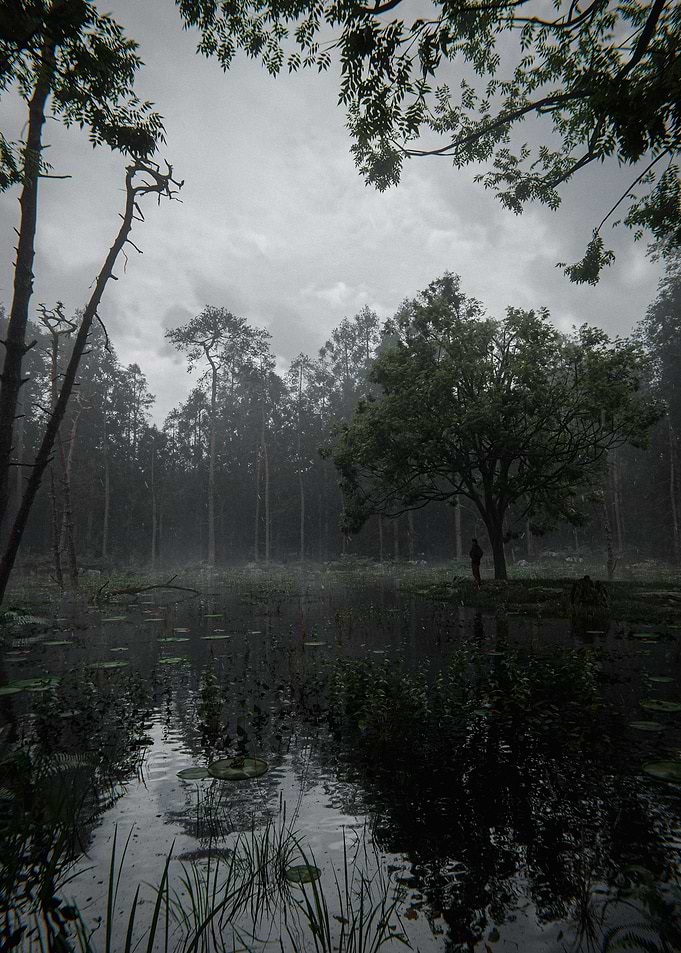 Misty Forest Lake