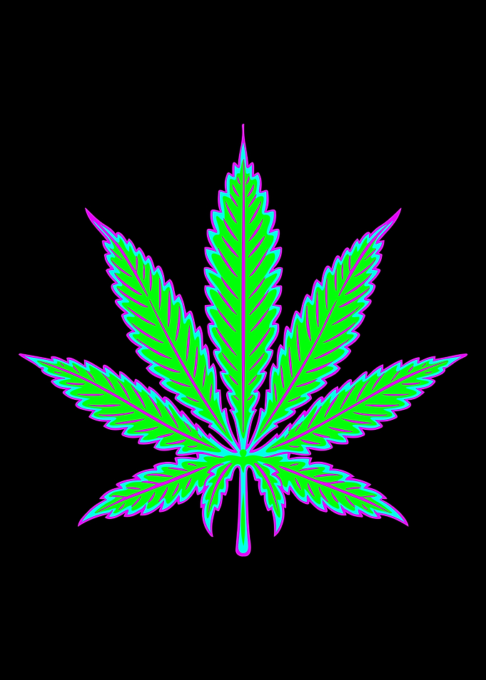 Neon Marijuana Leaf on Black Background