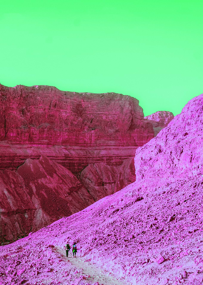 Desert Walk
