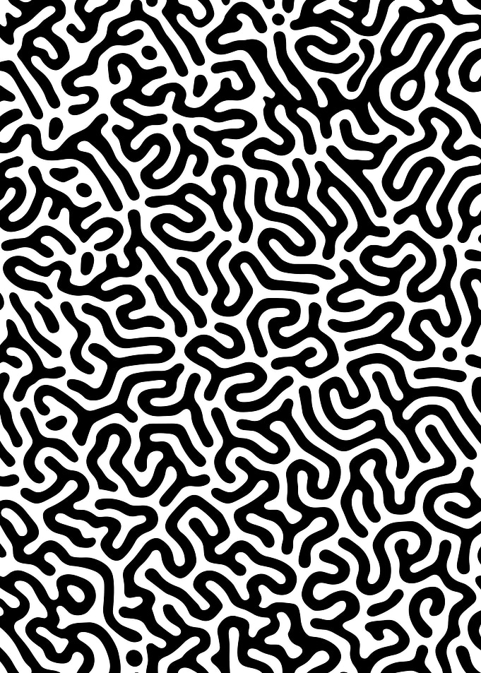 Black and White Abstract Pattern