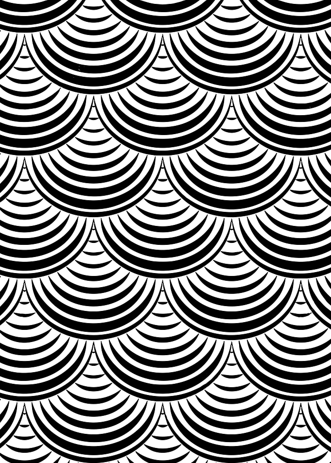 Black and White Scaled Pattern