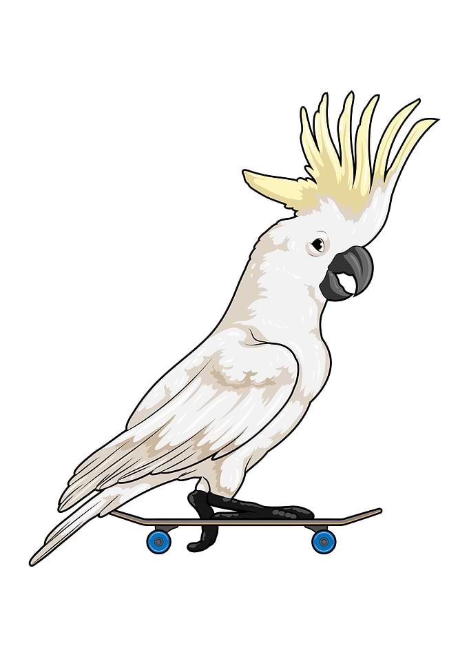 Parrot Skater Skateboard