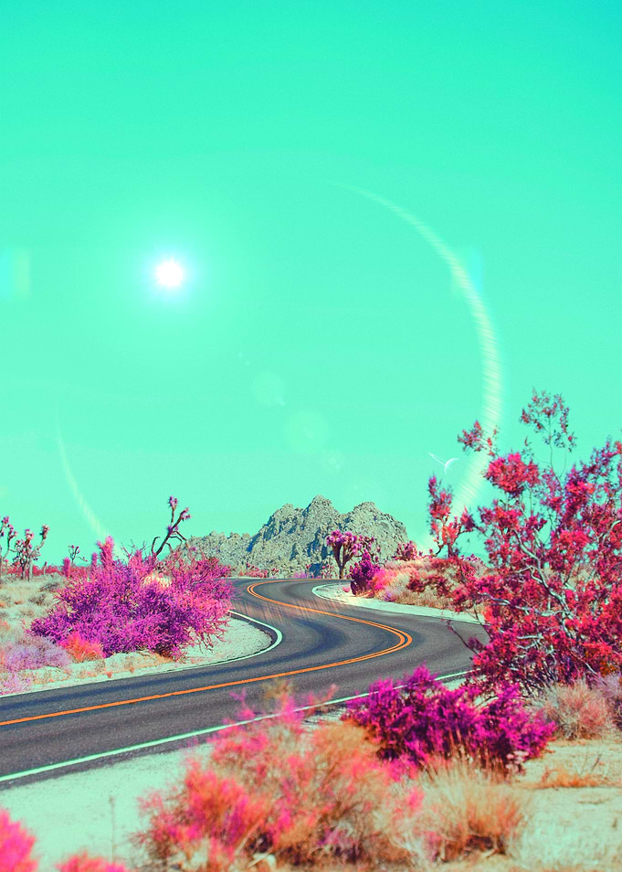 Teal Sunshine