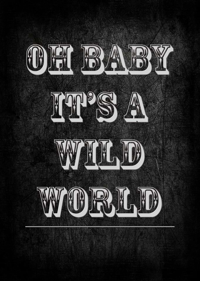 Oh Baby It's a Wild World