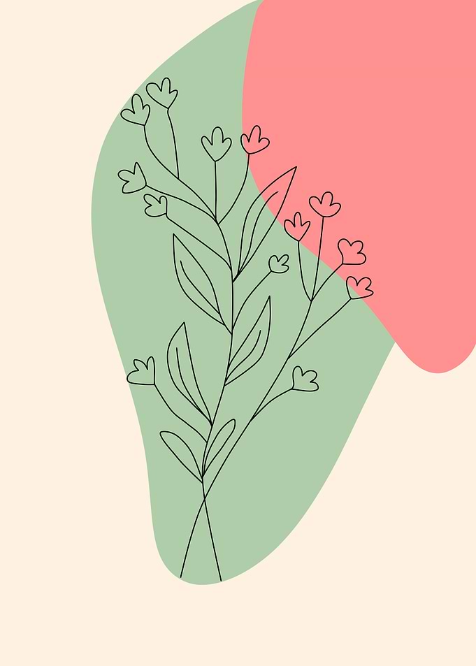 Minimalist Floral Line Art