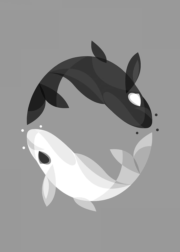 Yin Yang Orca Whale
