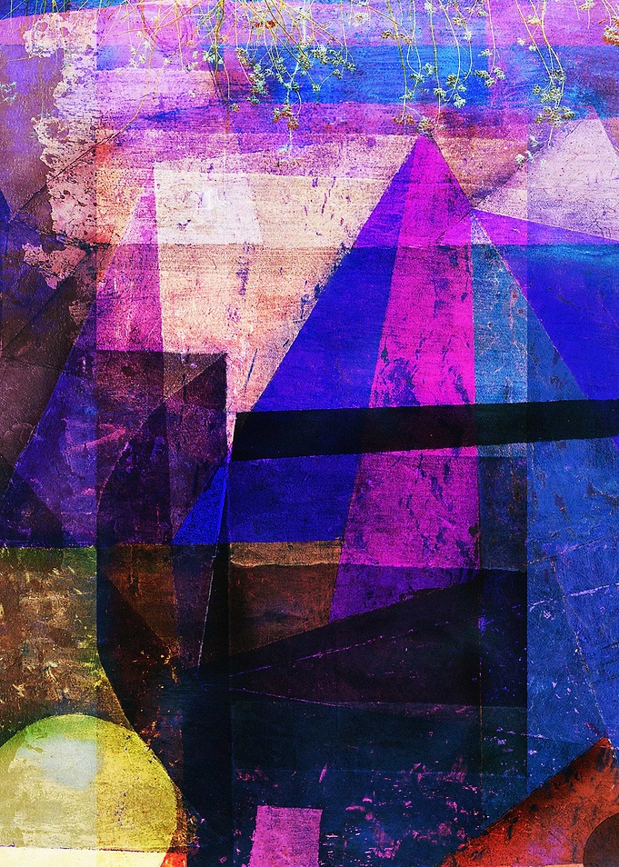 Abstract Geometric Collage with Plants