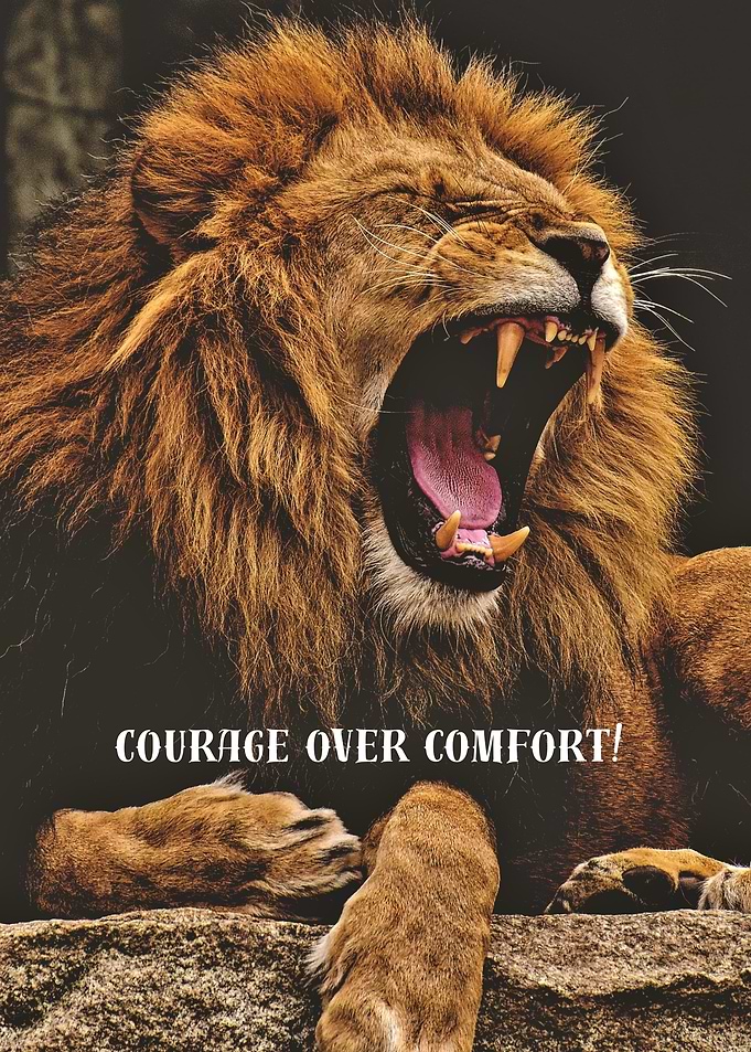 Roaring Lion: Courage Over Comfort