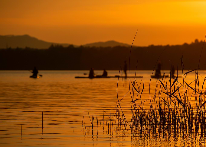 Golden Sunset Paddle Boarding on Lake