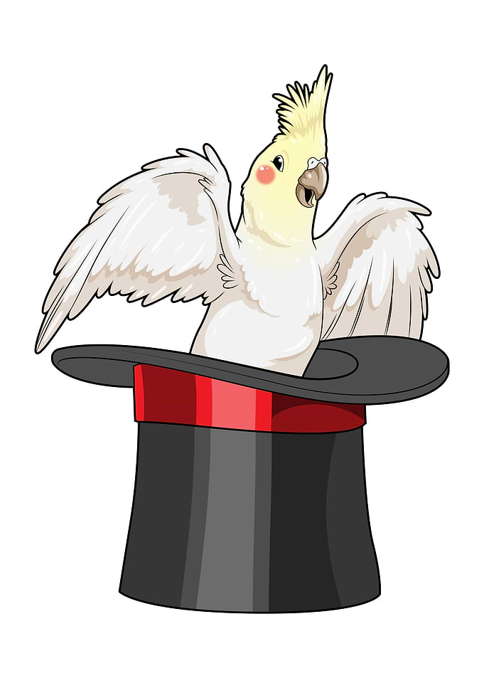 Parrot Wizard Top hat