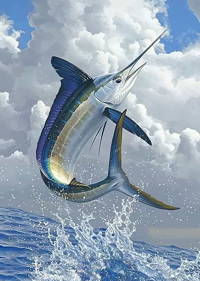 Marlin Jumping Out of the Water
