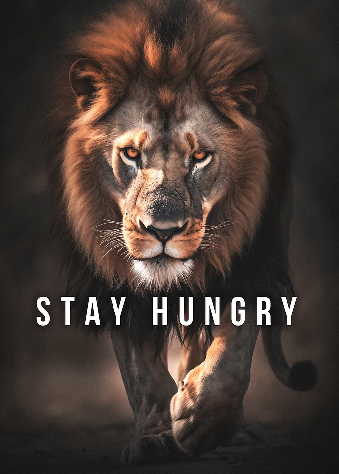 Animal Lion Motivational