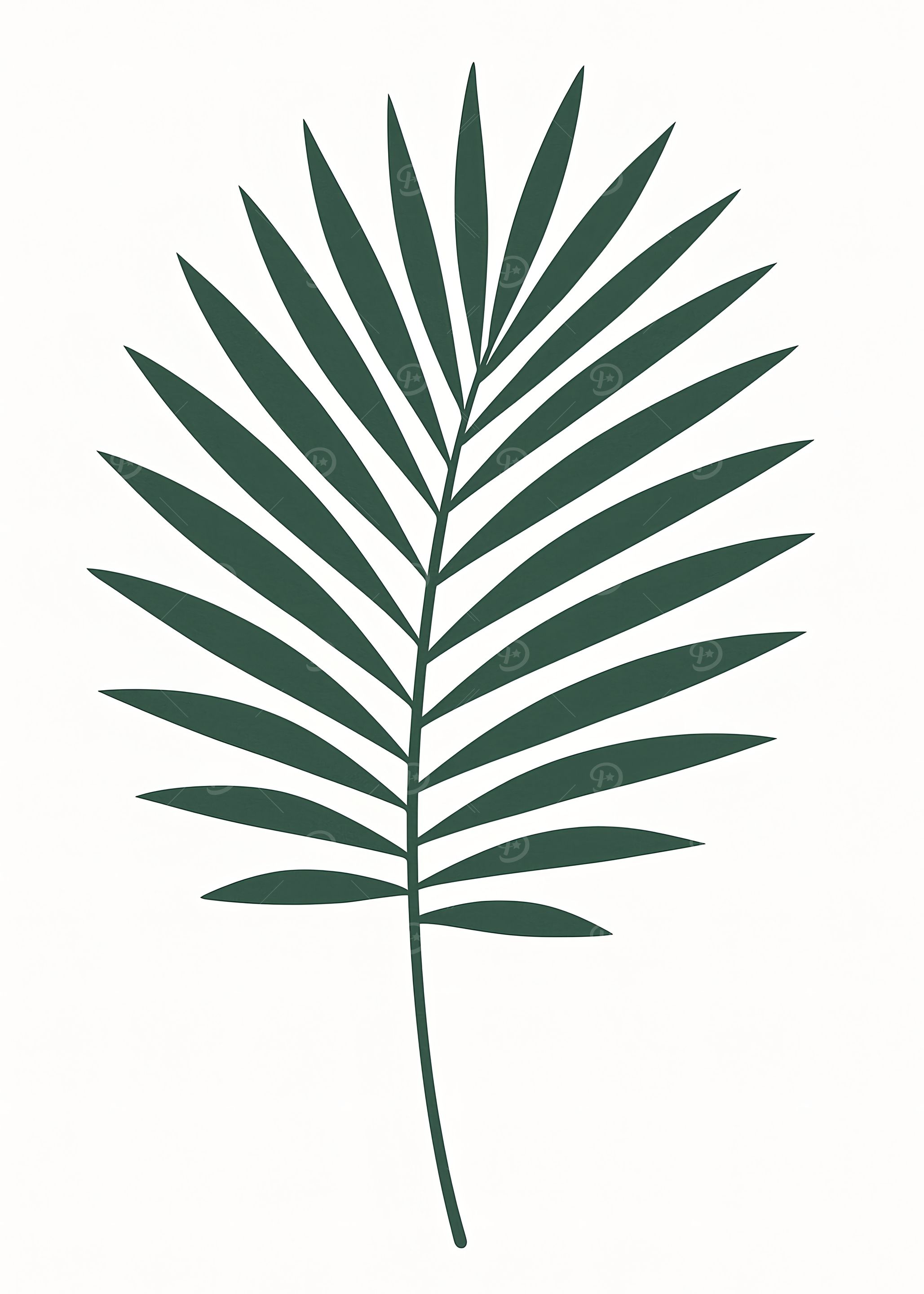 Palm Leaf Illustration