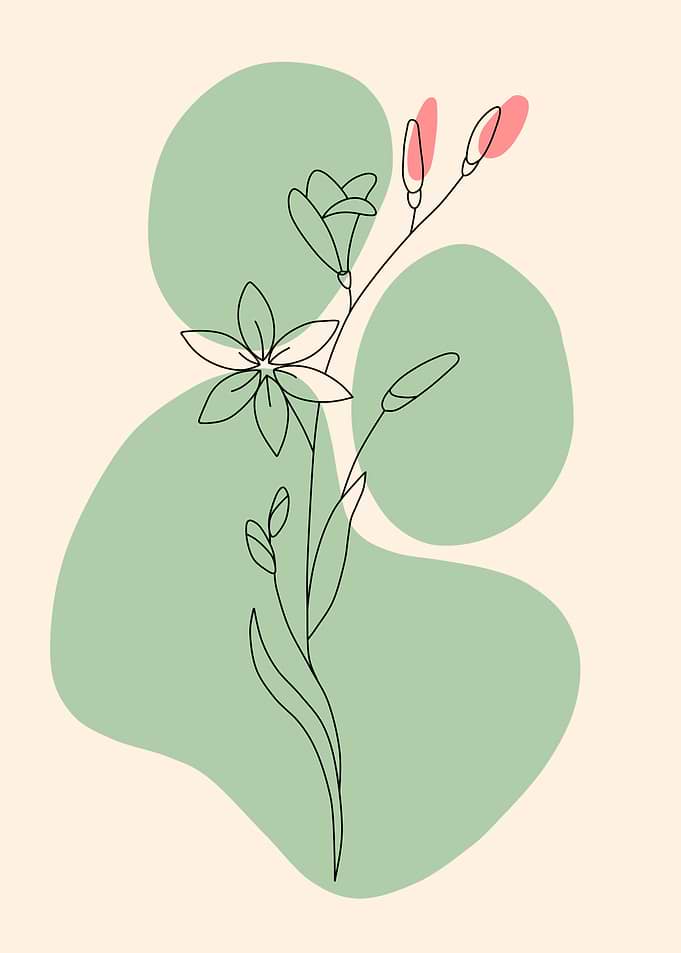Minimalist Floral Line Art Illustration