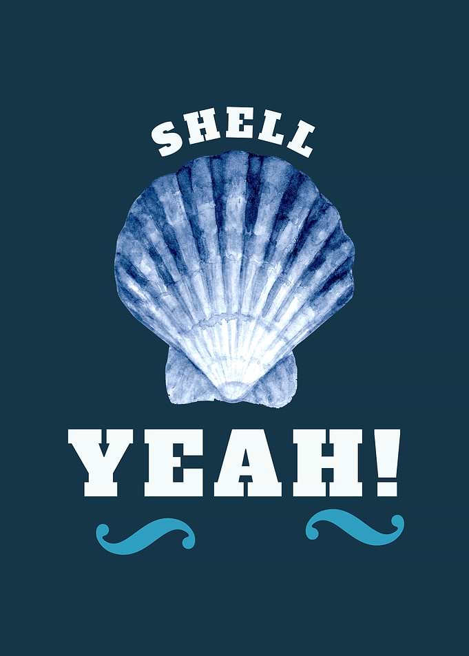 Shell Yeah! Nautical Art